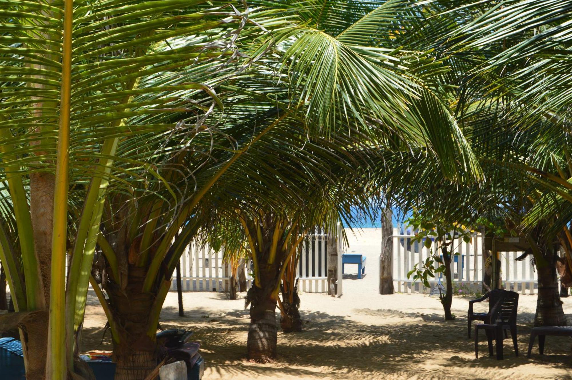Shim Beach Resort Arugam Bay Exteriér fotografie