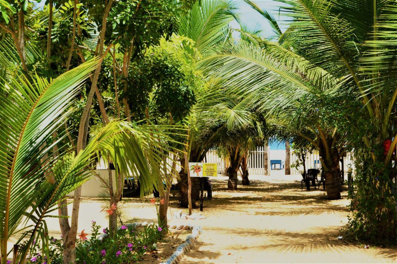 Shim Beach Resort Arugam Bay Exteriér fotografie